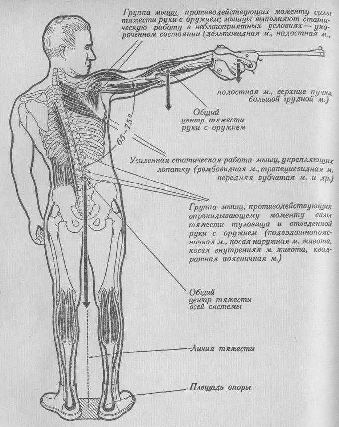 pdf heroic measures hippocratic medicine in the making of euripidean tragedy studies in ancient