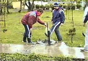 ������� ���� 1988 ���